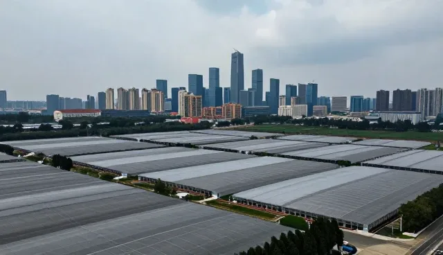 如何通过系统集成提升成果转化效率?